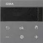 Gira RTR Anzeige Anthrazit 539328 (539328)