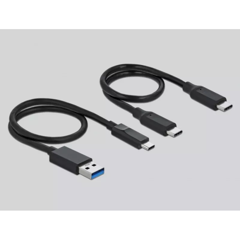 DeLOCK Kartenleser USB Type-C für CFast SD + USB Hub