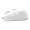 Maus SBOX WM-710 Weiß Drahtlos Schnittstelle