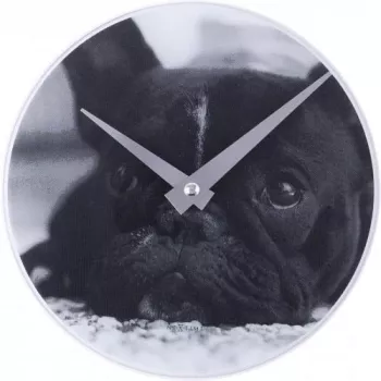 NeXtime Uhr 5173 Little Dog, Ø20 cm, Wand, Schwarz