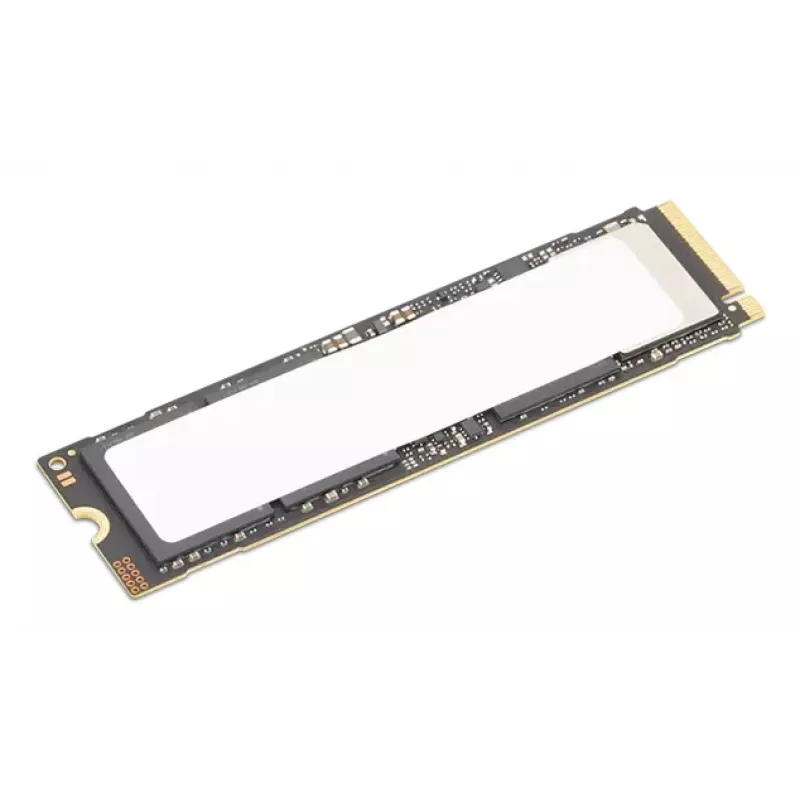 Lenovo 4XB1S30112 interne Solid-State-Disk 1 TB M.2 PCI Express 5.0 NVMe