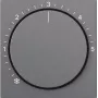 Gira Cover Plate Anthracite 270628 (270628)