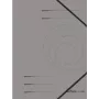 Ordner Herlitz 11159670 Grau A4