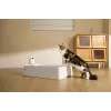 Selbstreinigende Katzentoilette PETKIT T7-EU, weiß