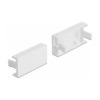 Abdeckplattenmodul DeLOCK Easy 45 81301