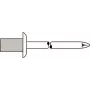 Blindniet GESIPA 4×8,0 mm Al/A2 CAP Standard, 500 Stück