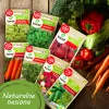 Toraf Summer Flavors Seed Set - 7 Packs
