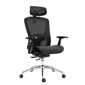 Expert 5.3 Schwarz Mesh Drehstuhl
