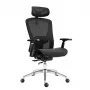 Expert 5.3 Schwarz Mesh Drehstuhl