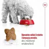 ROYAL CANIN Adult Mini S - Trockenfutter für Hunde - 2 kg