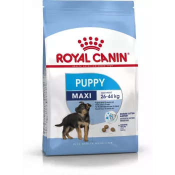 Royal Canin SHN Maxi Puppy - Trockenfutter für Welpen - 4kg
