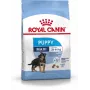 Royal Canin SHN Maxi Puppy - Trockenfutter für Welpen - 4kg