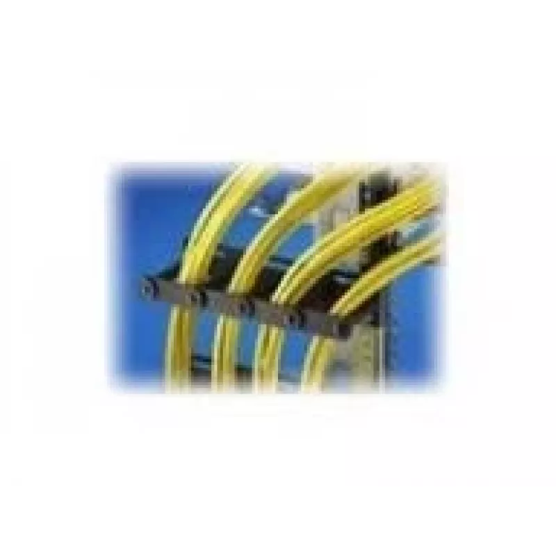 Rittal DK Kabelmanagement-Schiene - Rack - Kabelmanagement-Kit - 4U - 48,3 cm (19 Zoll)
