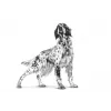 ROYAL CANIN Veterinary Renal Trockenfutter für Hunde - 2 kg