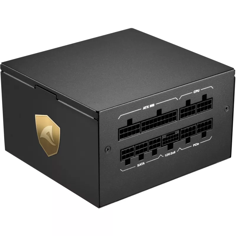Sharkoon Rebel P20 Netzteil 1000 W 24-pin ATX ATX Schwarz