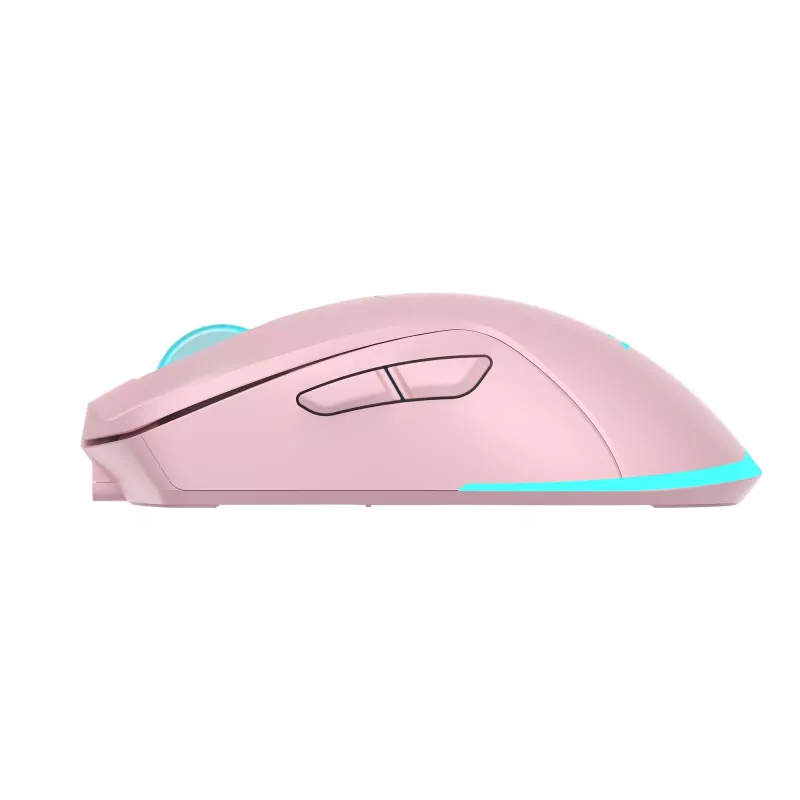 Maus Baracuda BGM-124 Turtle Pink TURTLE-P
