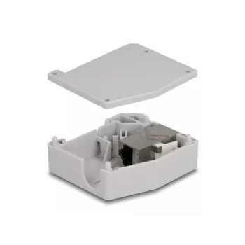DeLOCK DIN-Schienenadapter RJ45-Buchse zu RJ45-Buchse Cat.6A Grau