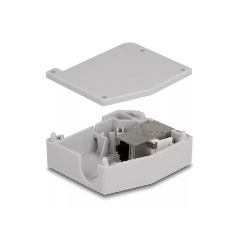 DeLOCK DIN-Schienenadapter RJ45-Buchse zu RJ45-Buchse Cat.6A Grau