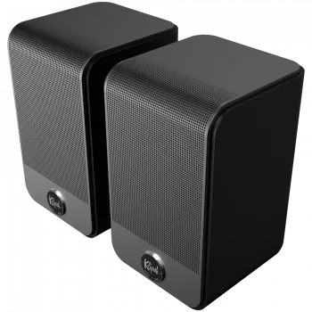 Kabelloser 1-Wege-Lautsprecher KLIPSCH SURR 100 — 50 W, 2.0 Kanäle, 235–20000 Hz, Schwarz