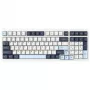 VGN S99 Gaming-Tastatur Faraway, Box Ice Cream - Bergblau (US)