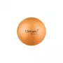 ABS-Rehabilitationsball 25 cm mit Pumpe