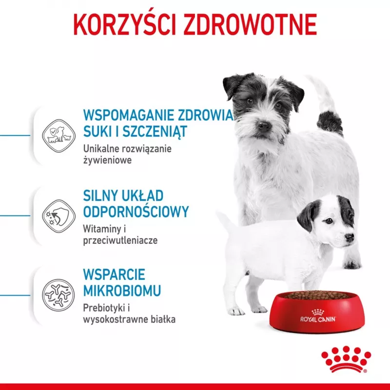 Trockenfutter für Hunde Royal Canin Starter Mutter & Babydog 1 kg — Huhn, 30% Protein, 22% Fett