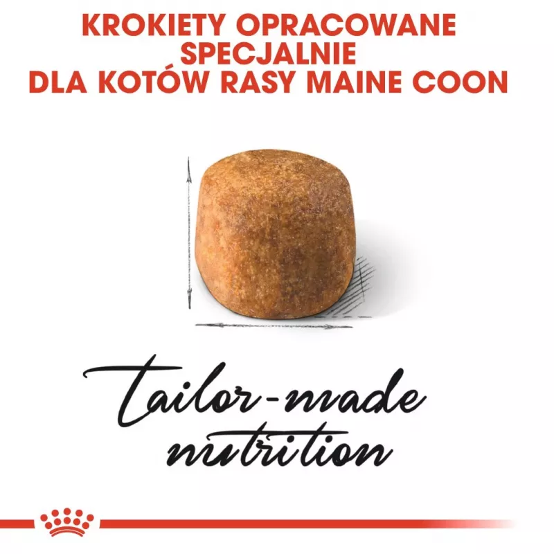 Trockenfutter für Katzen Royal Canin Maine Coon Adult 10 kg — Geflügel (Huhn), 31 % Protein, 20 % Fett