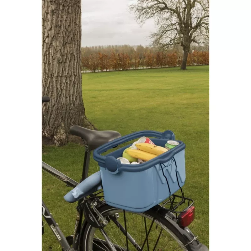 Tragbare Kühlbox Curver 261193 — 10 L Isolierte Kühlbox, blau, Polypropylen, handlich