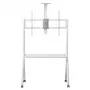 Boden-TV-Ständer MACLEAN MC-114 W für Displays 55 Zoll–100 Zoll, weiß, VESA bis zu 900x600, maximale Belastung 120 kg, Höhe 115–152 cm, Ablage