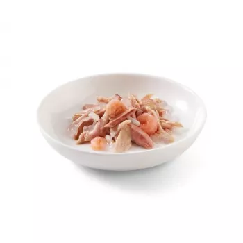 SCHESIR in Gelee Thunfisch mit Garnelen - Nassfutter für Katzen - 85 g