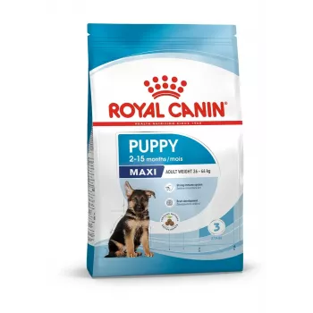 Trockenfutter für Hunde Royal Canin Maxi Puppy 15 kg — Large Breed Junior, Huhn, 30 % Protein, 16 % Fett