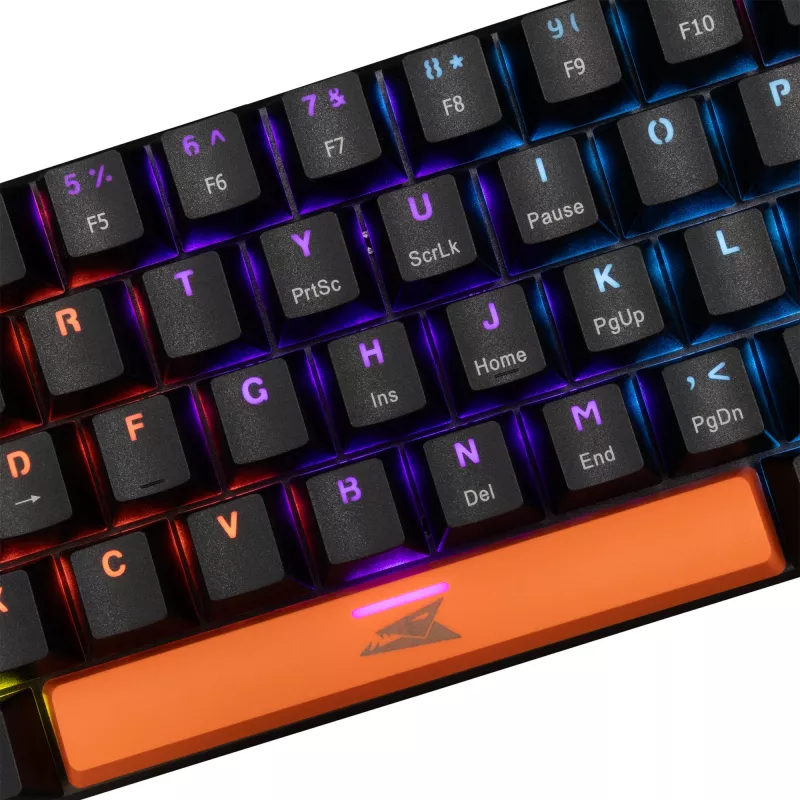 Mechanische Tastatur Baracuda Dolphin Schwarz US-Layout mit Red Switches