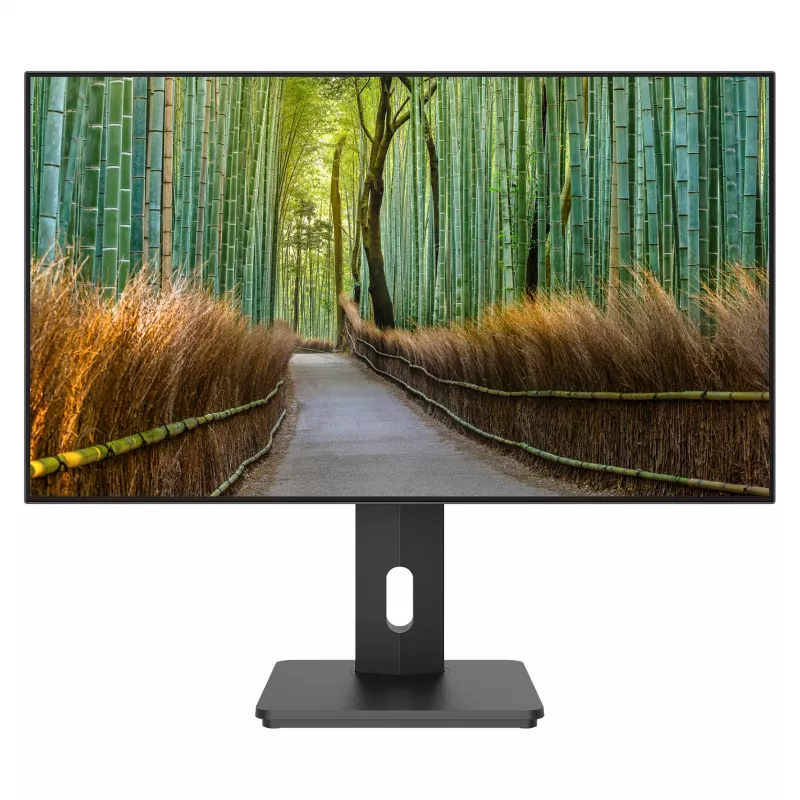 JAPANNEXT JN-27IPS4FLWQHDR-HSP 16:9 HDMI/DP WQHD - Flachbildschirm (TFT/LCD)