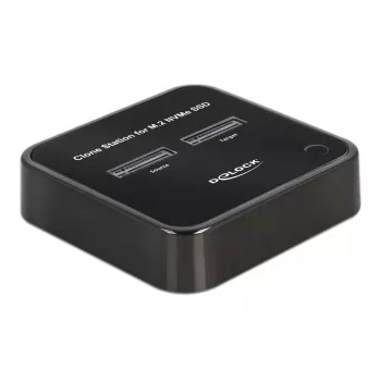 DeLOCK M.2 Dockingstation für 2 x M.2 NVMe PCIe SSD mit Klonfunktion
