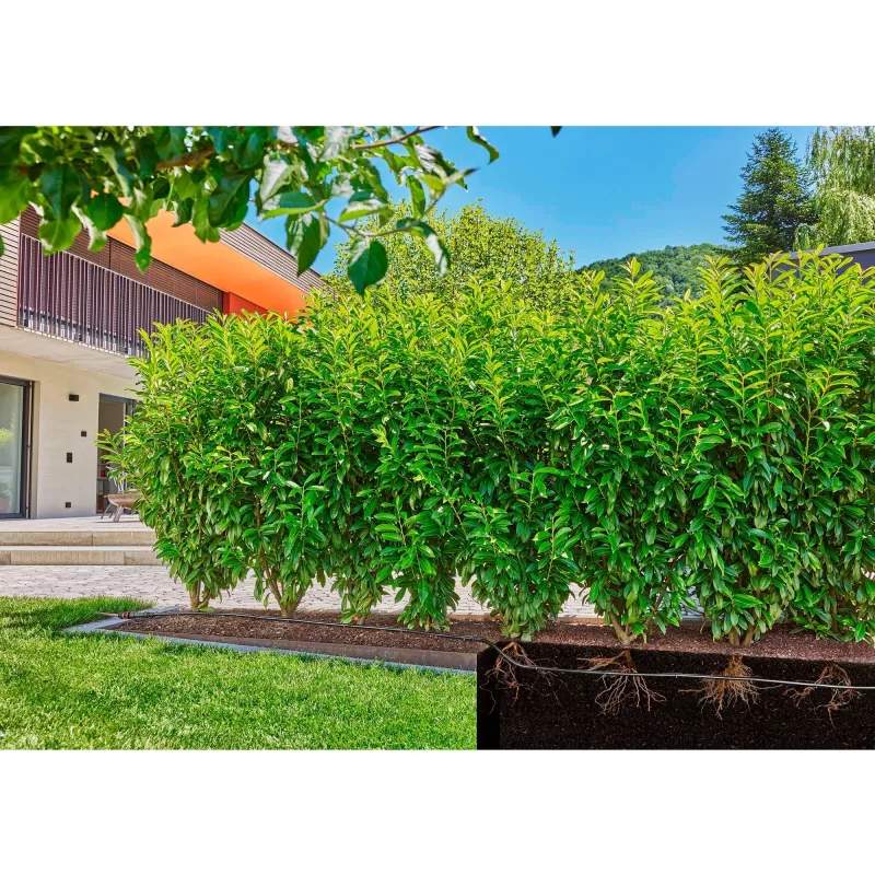 Gardena 13504-20 Gartenschlauch 50 m Unterirdisch Schwarz