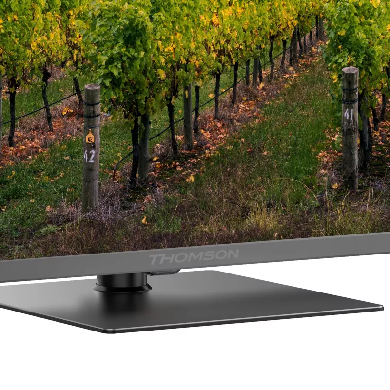 THOMSON 65QG5C14 65 4K Ultra HD Flachbild QLED TV