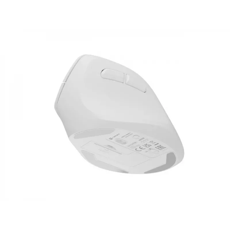 NATEC Crake 2 Maus, universell, für Rechtshänder, RF Wireless + Bluetooth, optisch, 2400 DPI