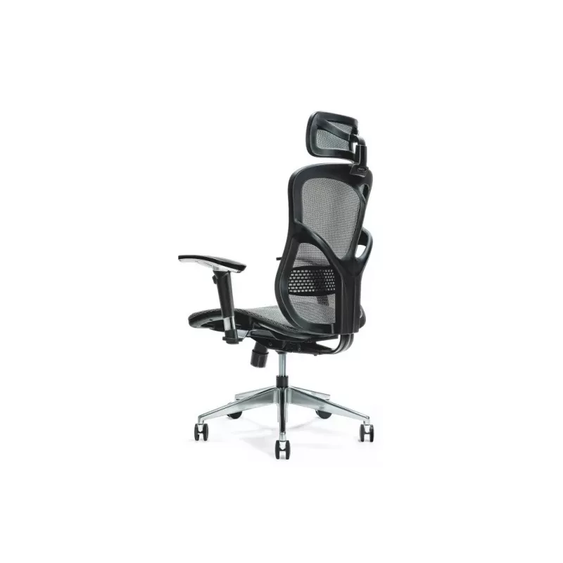 Ergonomischer Bürostuhl ERGO 500 grau