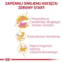 Trockenfutter für Katzen Royal Canin Maine Coon Kitten 2 kg — Geflügel, Protein 36%, Fett 23%