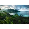 Konturpuzzle Ravensburger 16106 5000 Stück Flora