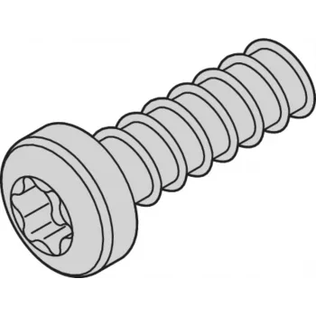 SCHROFF SCREW TORX 2.5X7.3 (100PCS) - Rack-Zubehör (24560157)