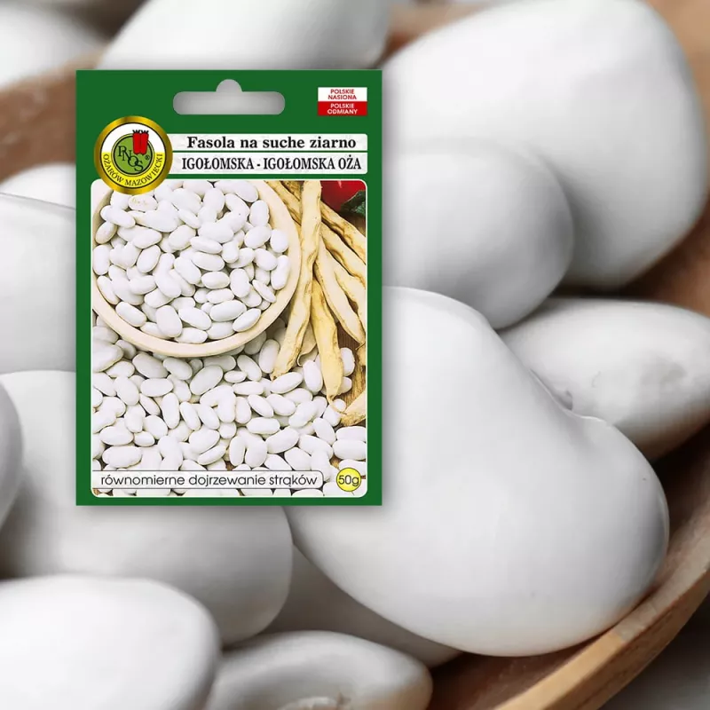 Saatgutpackung Seklos LT PNOS — Trockenbohnen 'Igłomska' Samen, 50 g