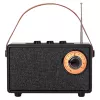 Camry Lautsprecher mit Radio | CR 1902 B | 5 W | Bluetooth | Schwarz | Kabellose Verbindung