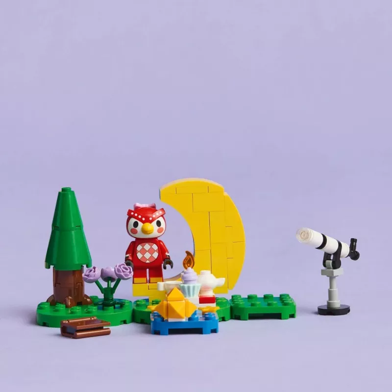 LEGO Animal Crossing Sternenbeobachtung mit Eufemia Set 77053