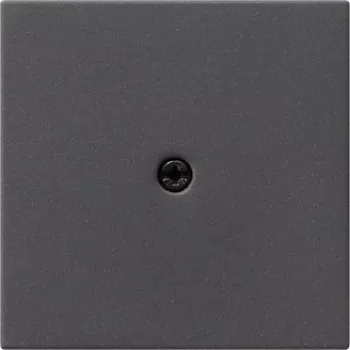GIRA 027428 Wandplatte/Schalterabdeckung Anthrazit (027428)