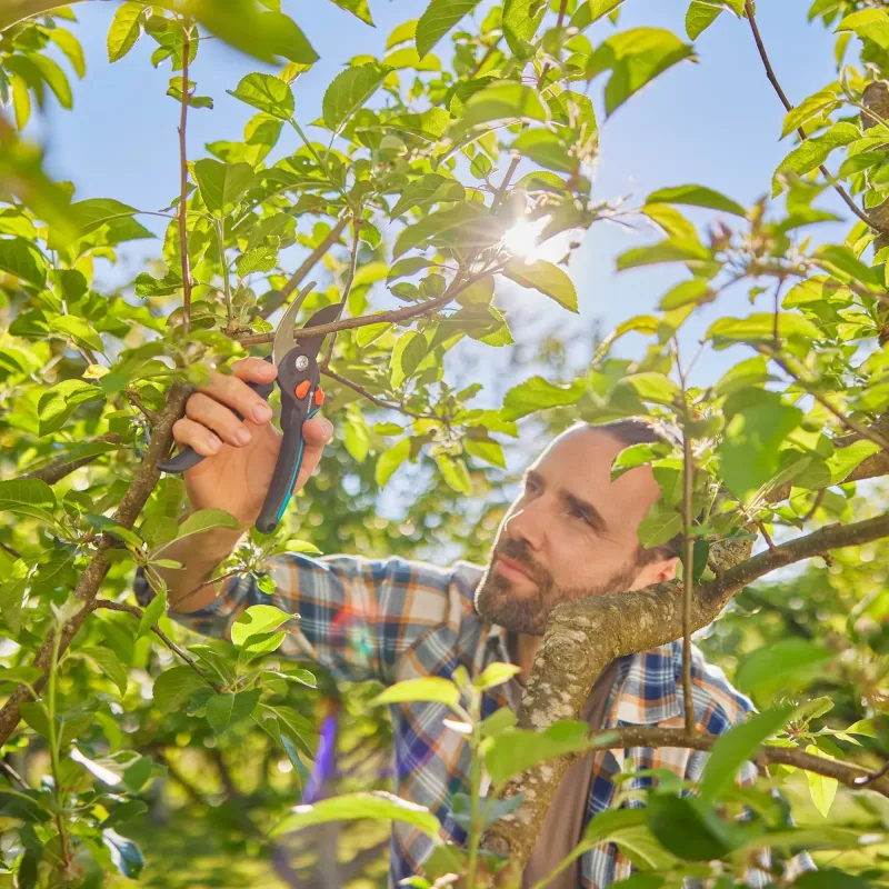 Gartenschere PremiumCut Pro Flex (Grau/türkis, Bypass, stufenlos verstellbare Griffweite)