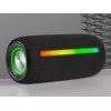 Tragbarer Stereo-Lautsprecher TRACER Stripe Schwarz — 10 W RMS, Bluetooth/kabelgebunden, USB-A & USB-C, MicroSD, integrierter Akku (bis zu 5 h)