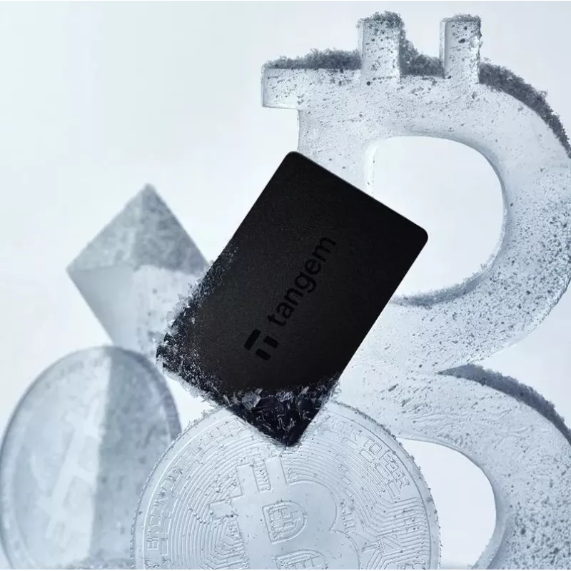 Tangem Wallet Kryptowährungs-Wallet - 2 Karten