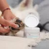 Salbe VETEXPERT Paw Protection 75 ml — Pfotenpflege für Hunde und Katzen, geeignet für alle Rassen und Altersgruppen