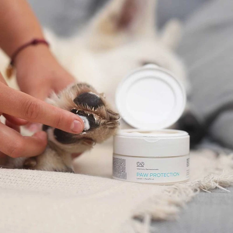 Salbe VETEXPERT Paw Protection 75 ml — Pfotenpflege für Hunde und Katzen, geeignet für alle Rassen und Altersgruppen
